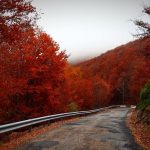 Filistin Gezilecek Yerler