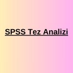 spss tez analizi (1)