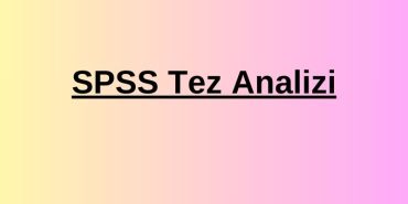 spss tez analizi (1)