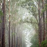 Ukrayna Gezilecek Yerler