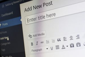 Wordpress Uzmanı (15)