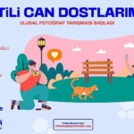 uskudar-belediyesi-patili-can-dostlarimiz-ulusal-fotograf-yarismasi-basladi.jpg