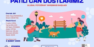 uskudar-belediyesi-patili-can-dostlarimiz-ulusal-fotograf-yarismasi-basladi.jpg