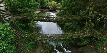 3-bolumden-olusan-vahsi-hindistan-1-mart-cumartesi-gunu-20-00de-national-geographic-wild-ekranlarinda-basliyor.jpg