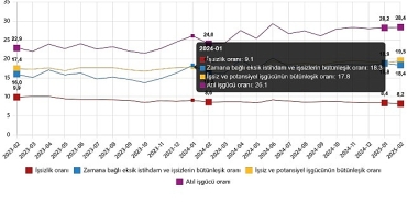 isgucu-istatistikleri-subat-2025.jpg