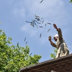 festivalin-renkleri-fotograf-karelerinde-hayat-bulacak.jpg