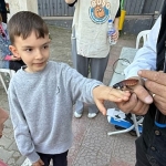 yeniceabatta-bocek-bilim-bulusmasi-yapildi.jpg