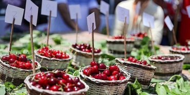 baskan-gorkem-dumandan-kiraz-festivaline-davet.jpg
