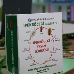 buyuksehir-cocuklari-ipekbocegi-ile-tanistiriyor.jpg