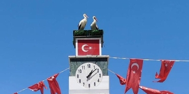 can-ve-canan-leylek-yuvalarina-geldi.jpg
