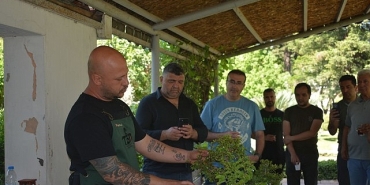 dogadan-sanata-sanattan-sehre.jpg