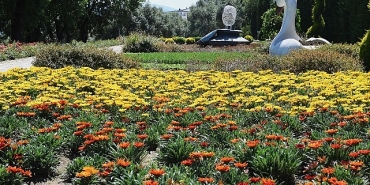 osmangazinin-her-yeri-cicek-kokuyor.jpg