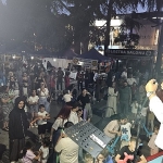 15-yaz-senligi-golcuk-anitparkta-basladi.jpg