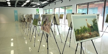 bu-fotograf-sergisi-ormanyada-gorsel-solen-sunuyor.jpg