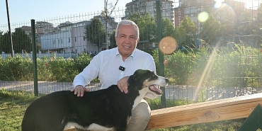 niluferde-can-dostlar-yeni-yuvalarina-kavustu.jpg