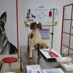 uludag-universitesi-klinik-beceri-laboratuvari-acildi.jpg