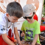 dunya-menemende-bulusacak.jpg