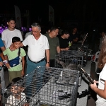 kemerde-sokak-hayvanlari-yararina-ikinci-konser.jpg