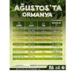 ormanya-ve-kuzuyaylanin-kesif-dolu-agustos-takvimi.jpg