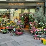 Antalya çiçekçi (9)