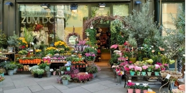 Antalya çiçekçi (9)