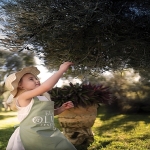 ela-excellence-resort-belekte-zeytin-agaclarinin-golgesinde-unutulmaz-bir-yolculuk.jpg