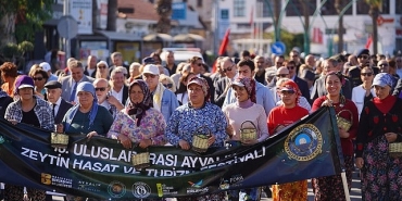 20-ayvalik-uluslararasi-zeytin-hasat-ve-turizm-festivali-basliyor.jpg