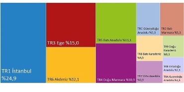 hanehalki-tuketim-harcamasi-bolgesel-2024.jpg