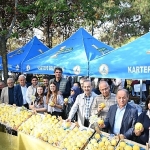 kartepede-ayva-festivali-coskusu.jpg
