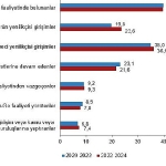 yenilik-arastirmasi-2024.jpg