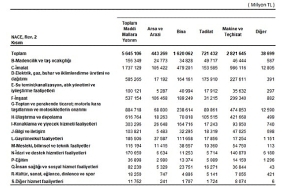 yillik-sanayi-ve-hizmet-istatistikleri-yatirim-harcamalari-2024.jpg