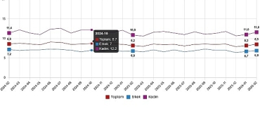 isgucu-istatistikleri-subat-2026.jpg