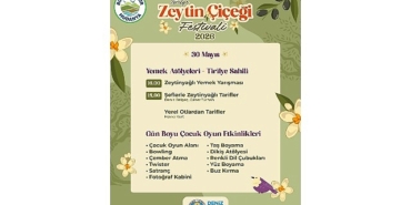 2-zeytin-cicegi-festivali-basliyor.jpg