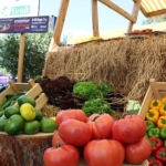5-uluslararasi-foodfest-antalya-gastronomi-festivali-basliyor.jpg