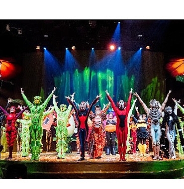 istanbuldan-cirque-du-soleil-ruzgari-gecti.jpg