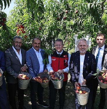seftali-ve-nektarinde-hasat-zamani.jpg