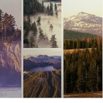 ulusal-parklar-amerika-ozel-3-mayis-pazar-saat-20-00de-national-geographic-wild-ekranlarinda-izleyicilerle-bulusuyor.jpg