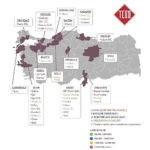 turkiye-celik-sektorunun-gelecegi-karbonsuzlasma-hizina-bagli.jpg