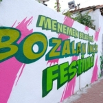 bozalan-incir-festivali-icin-geri-sayim-basladi.jpg