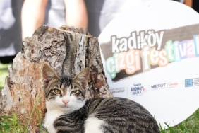 7. Kadıköy Çizgi Festivali Başlıyor