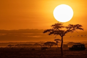 National Geographic NOW Seç-İzle Servisinin Ekim Ayı Teması ‘Afrika’!